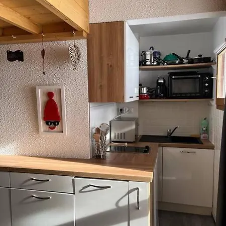 Duplex Plein Sud_skis Aux Pieds_plagne Villages *